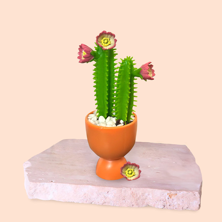 Cactus Blossom Fragrance Oil Scent Method