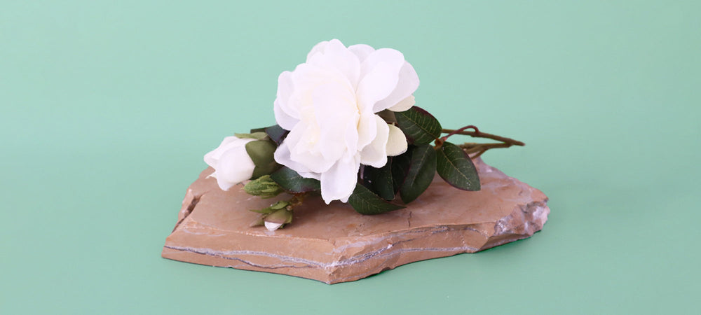 Why Choose Scent Method?