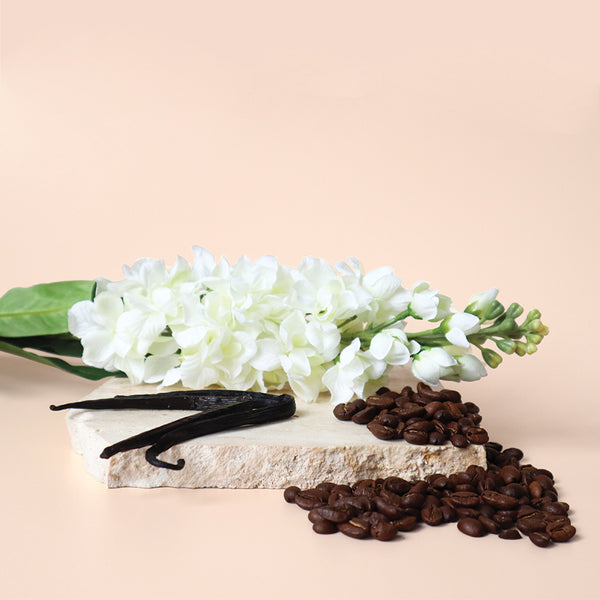 Black opium hotsell essential oil