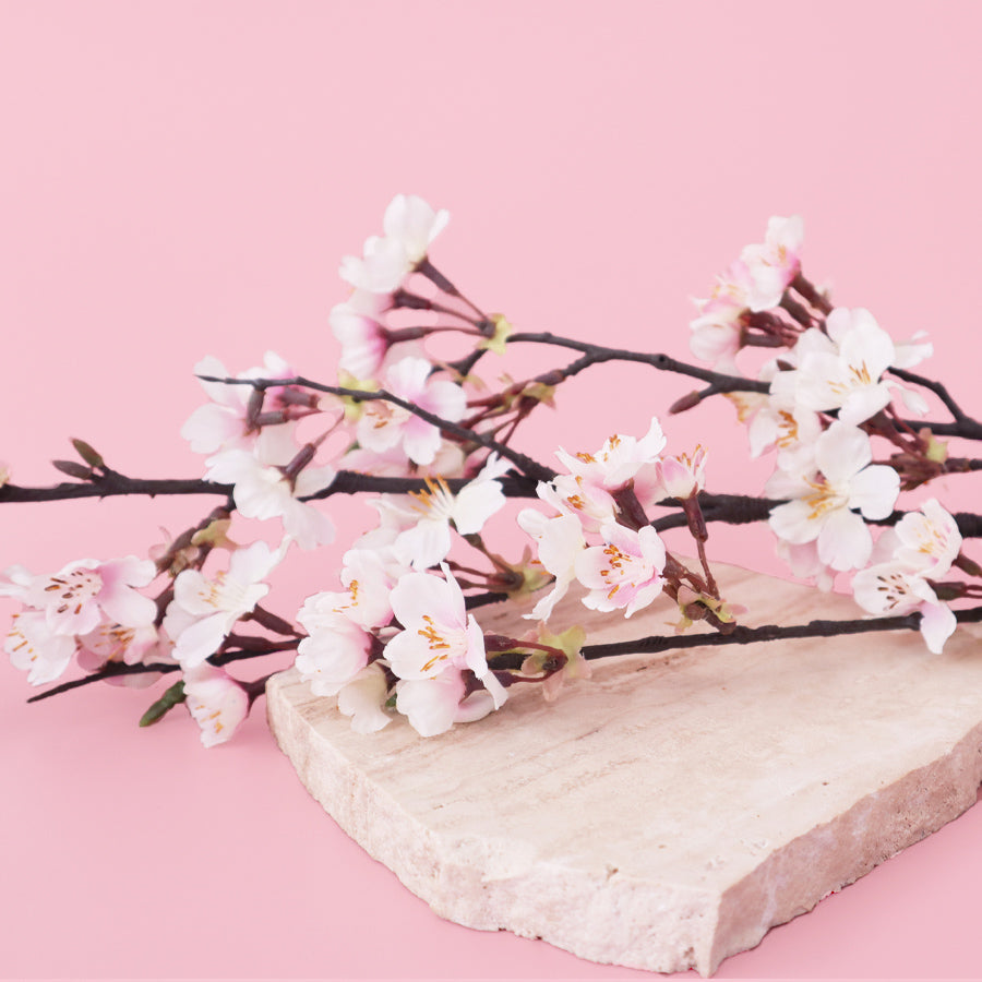 Japanese Cherry Blossom - Fragrance Oil