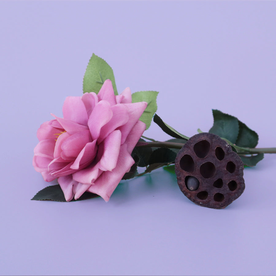 Camellia & Pink Lotus (Kyoto in Bloom Type) - Fragrance Oil